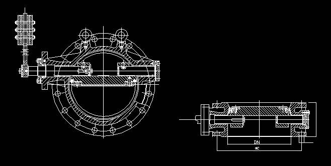 hình ảnh 3